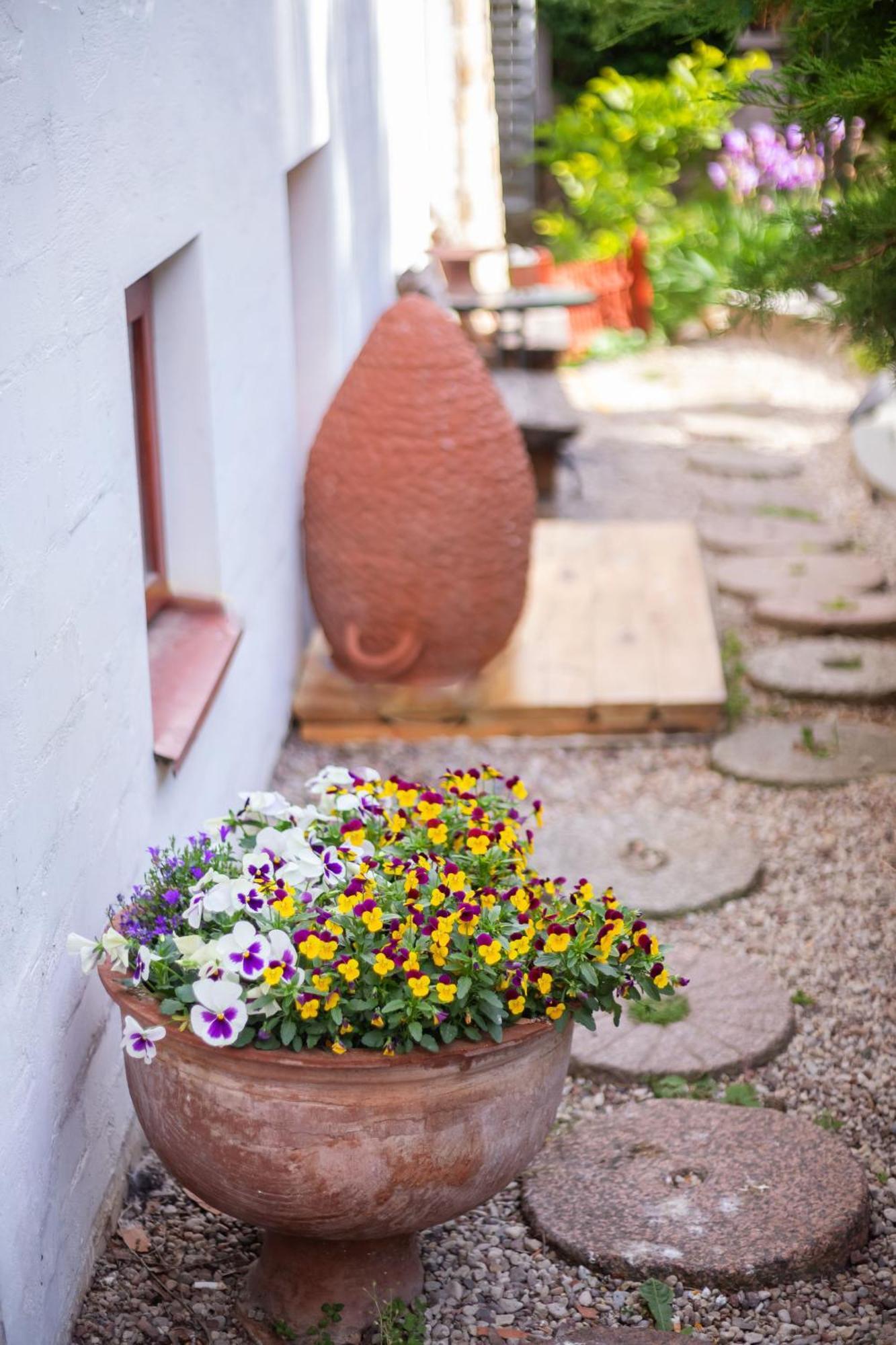 Bed and Breakfast House Of Sun Vilna Exterior foto